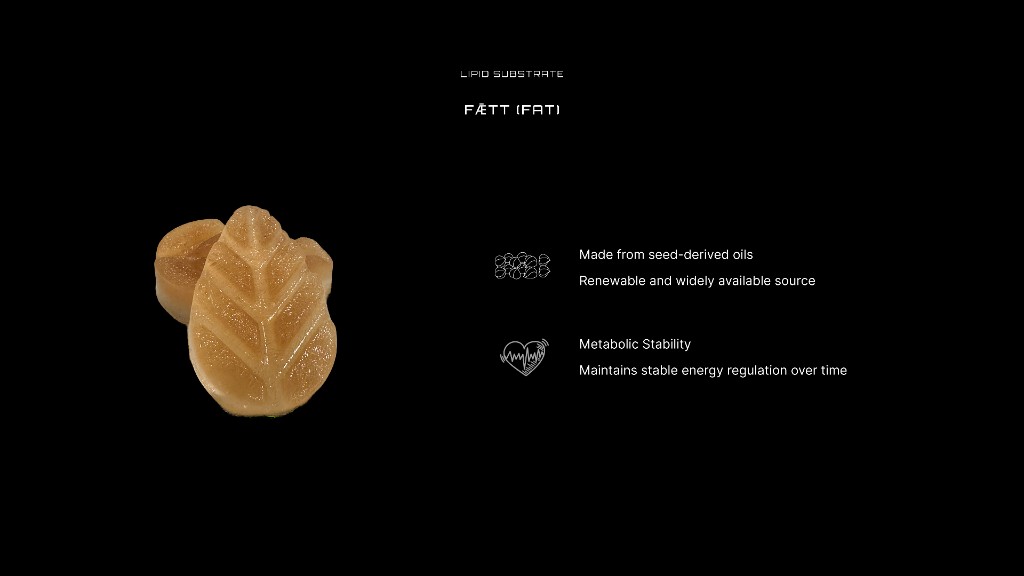 Fǣtt lipid substrate made from seed-derived oils